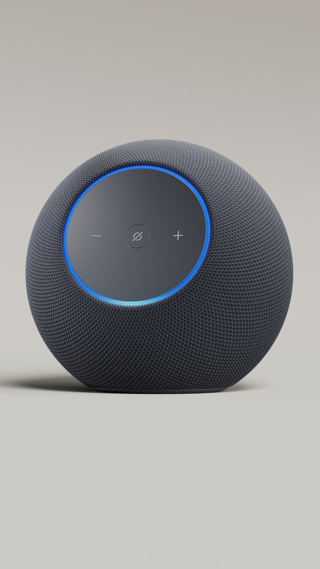 Charcoal Echo with its blue light ring