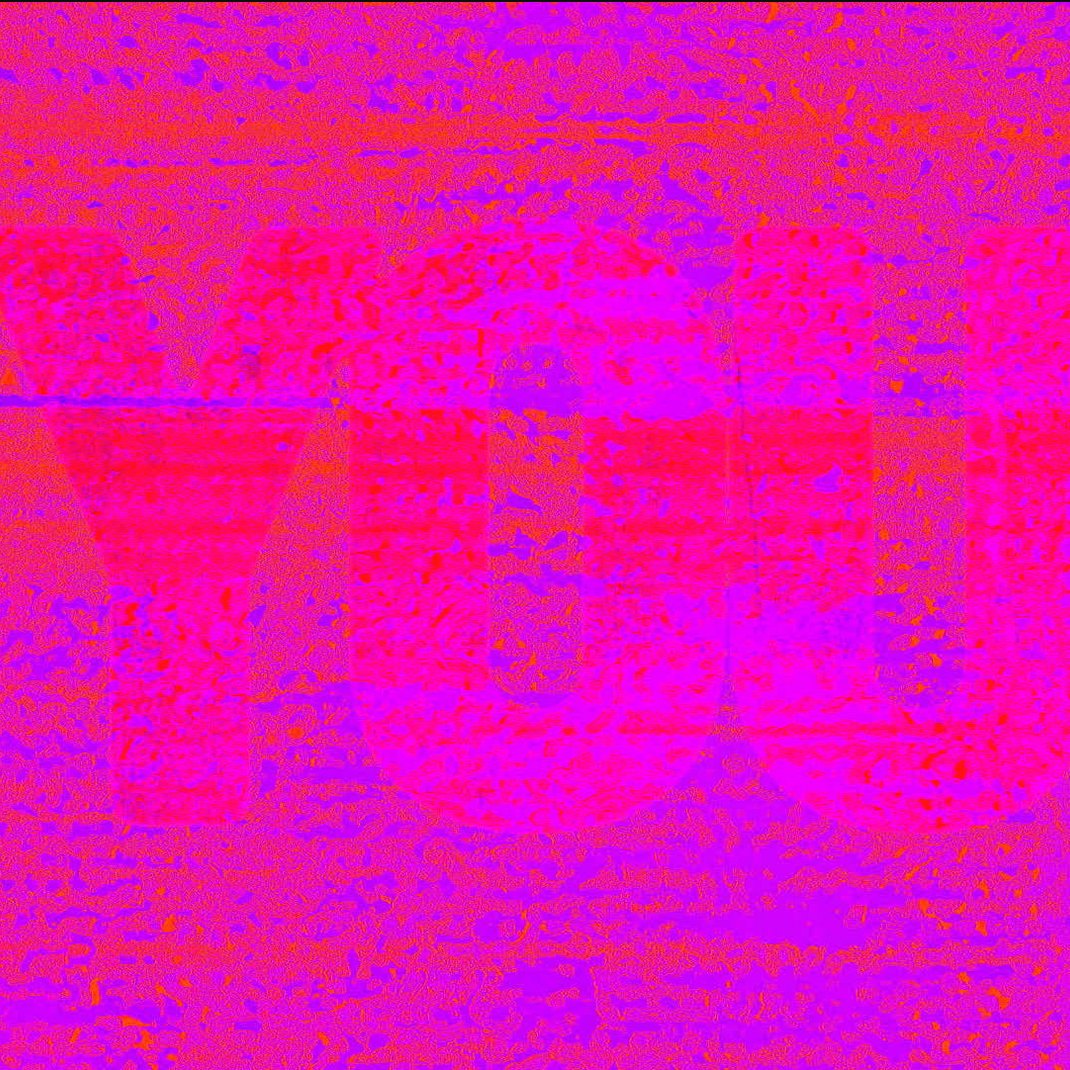 Glitched lyric on hot pink